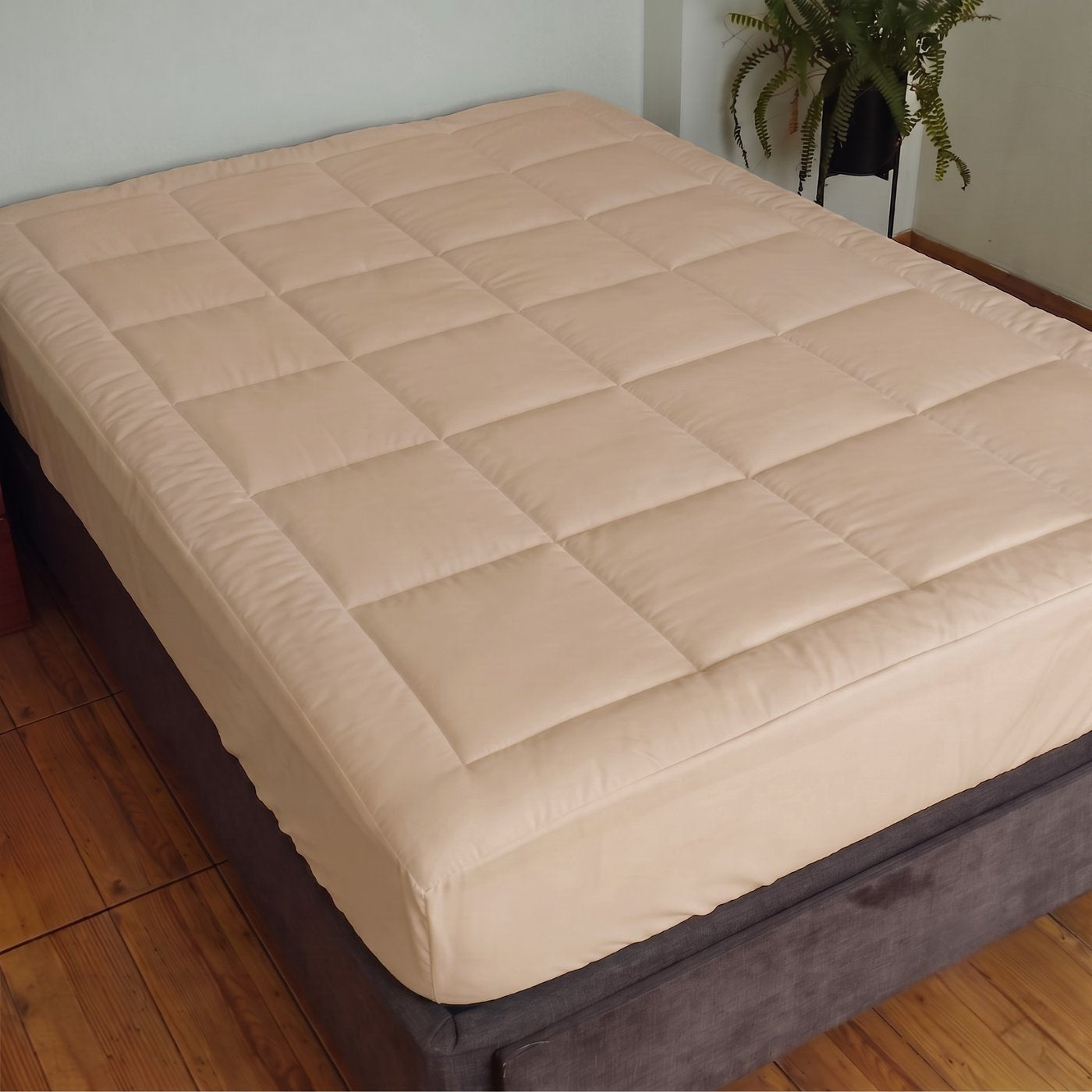 BEIGE_PAA1