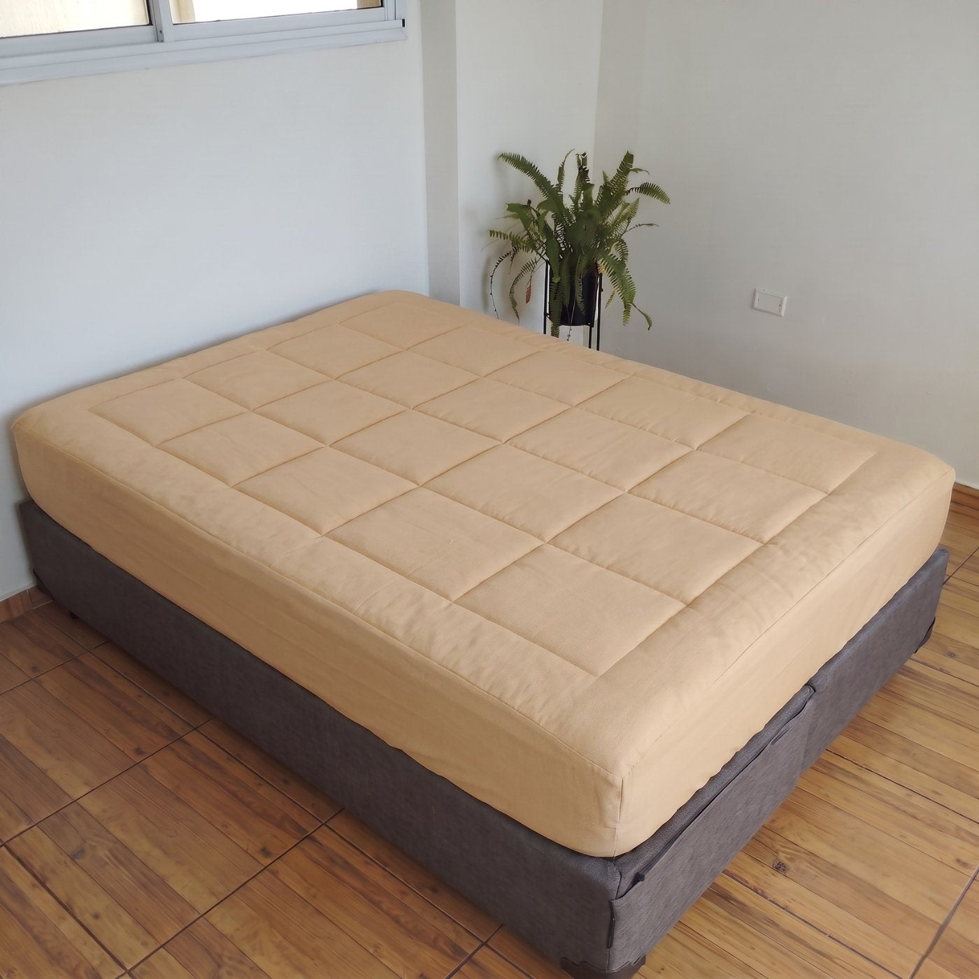BEIGE_PAA2