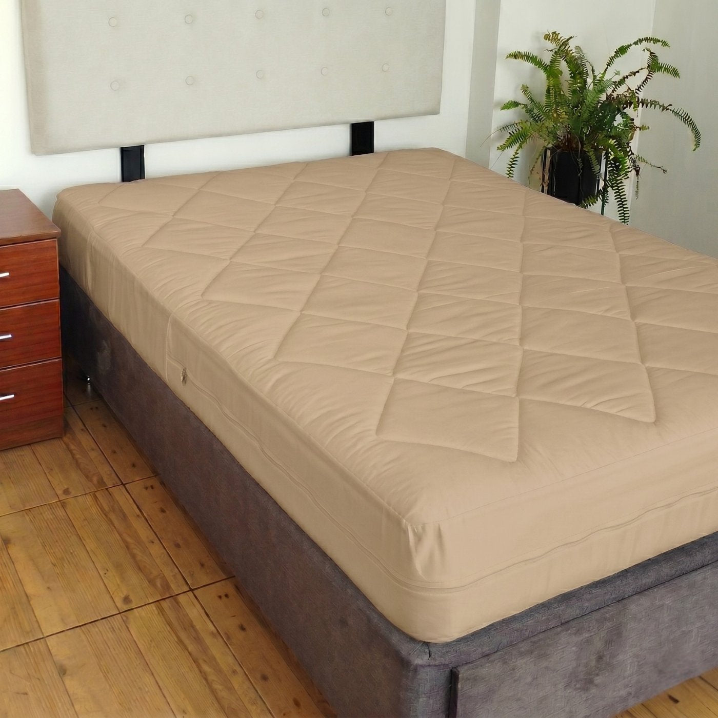 BEIGE_F1