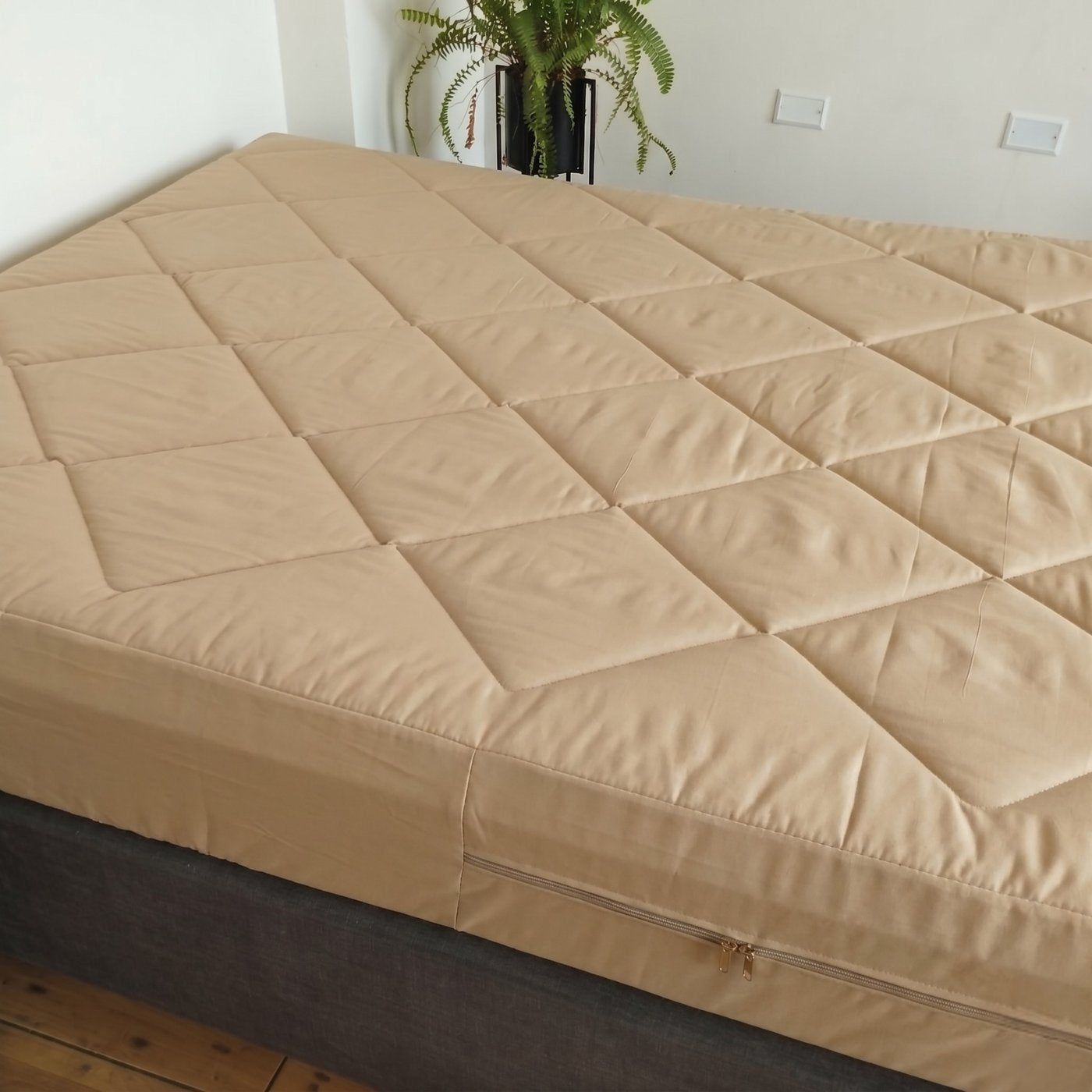 BEIGE_F3