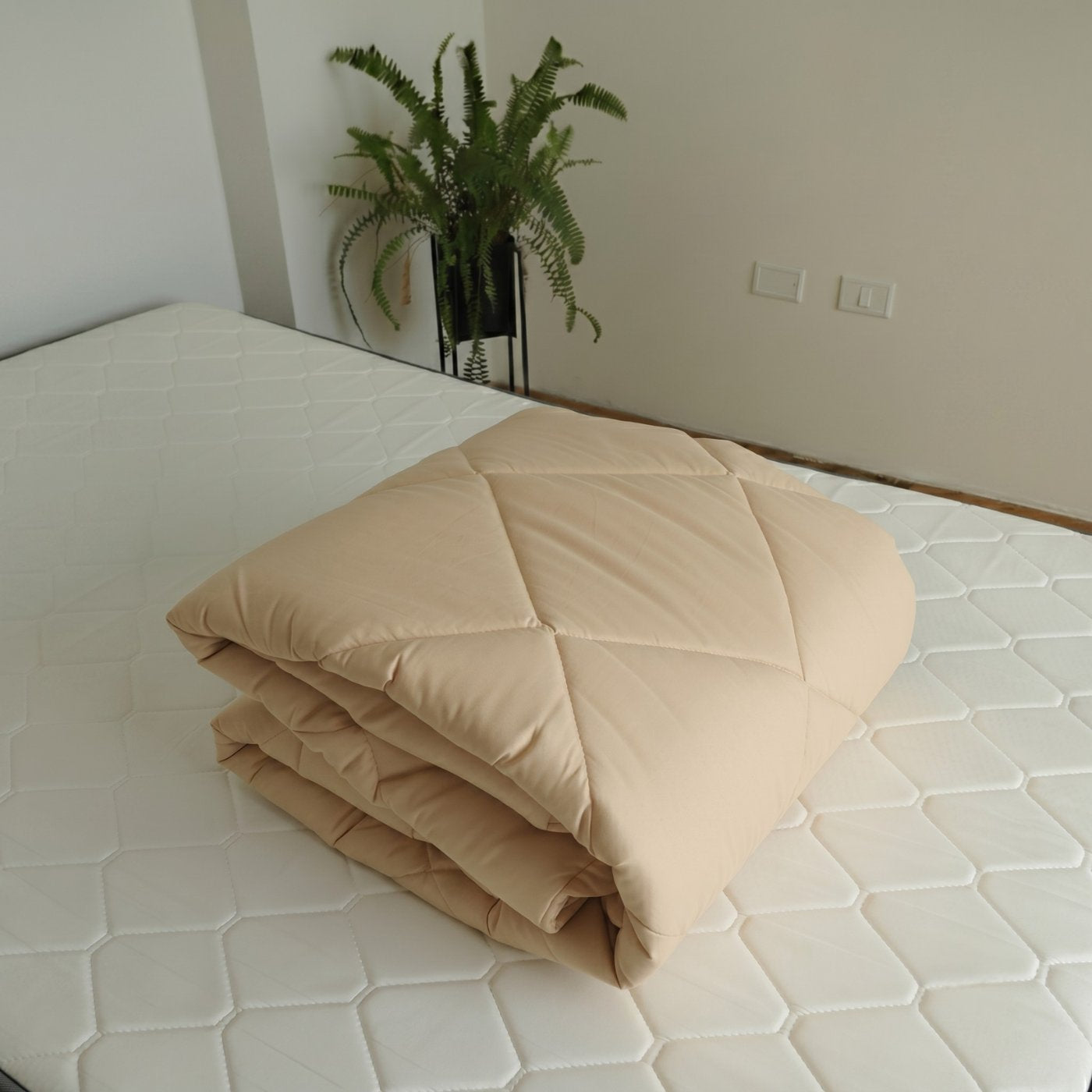 BEIGE_F5
