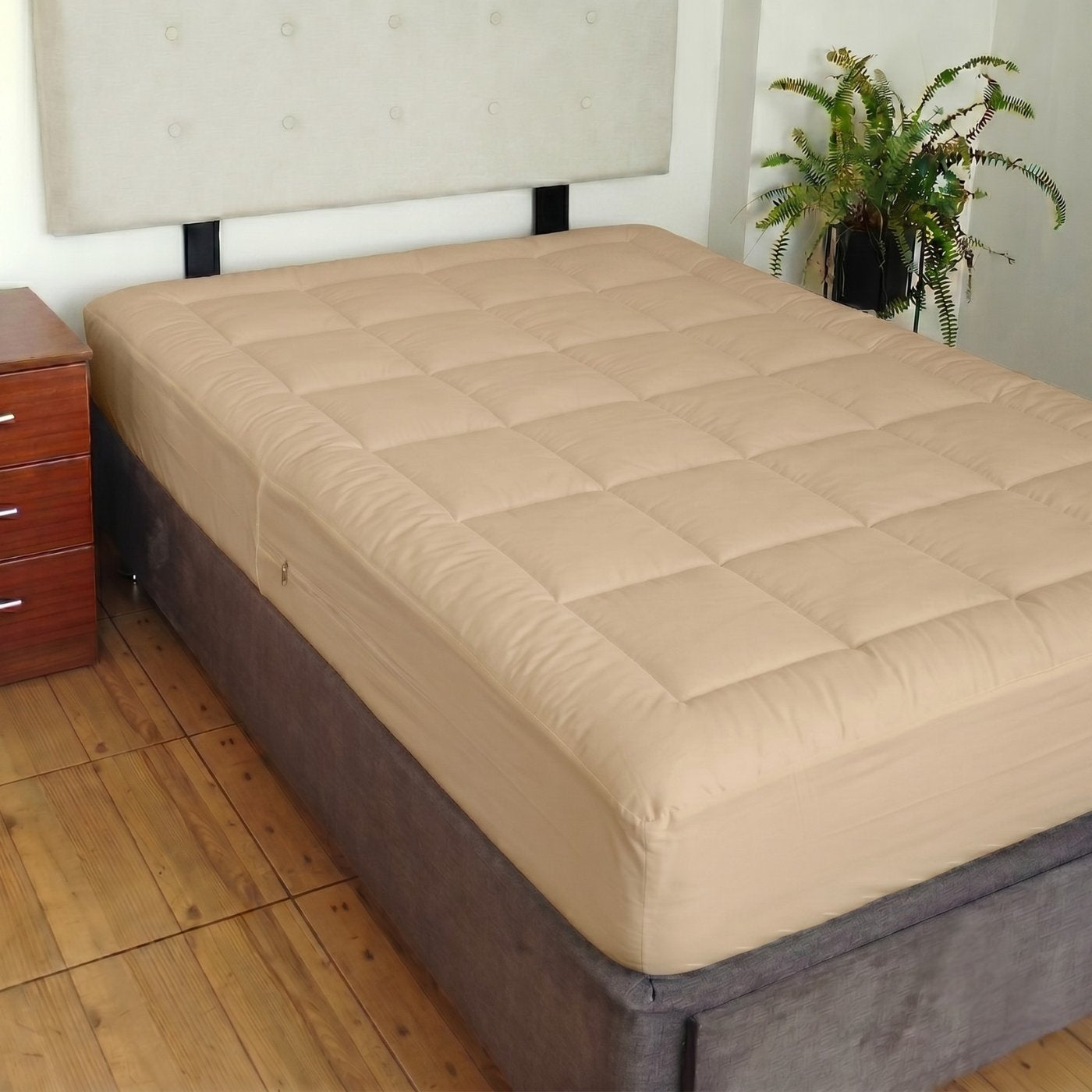 BEIGE_FAA1