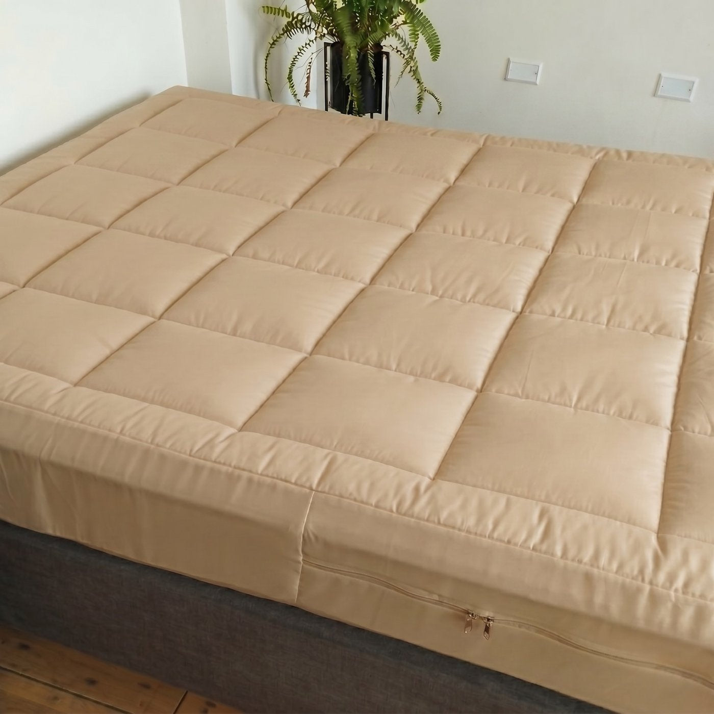 BEIGE_FAA3