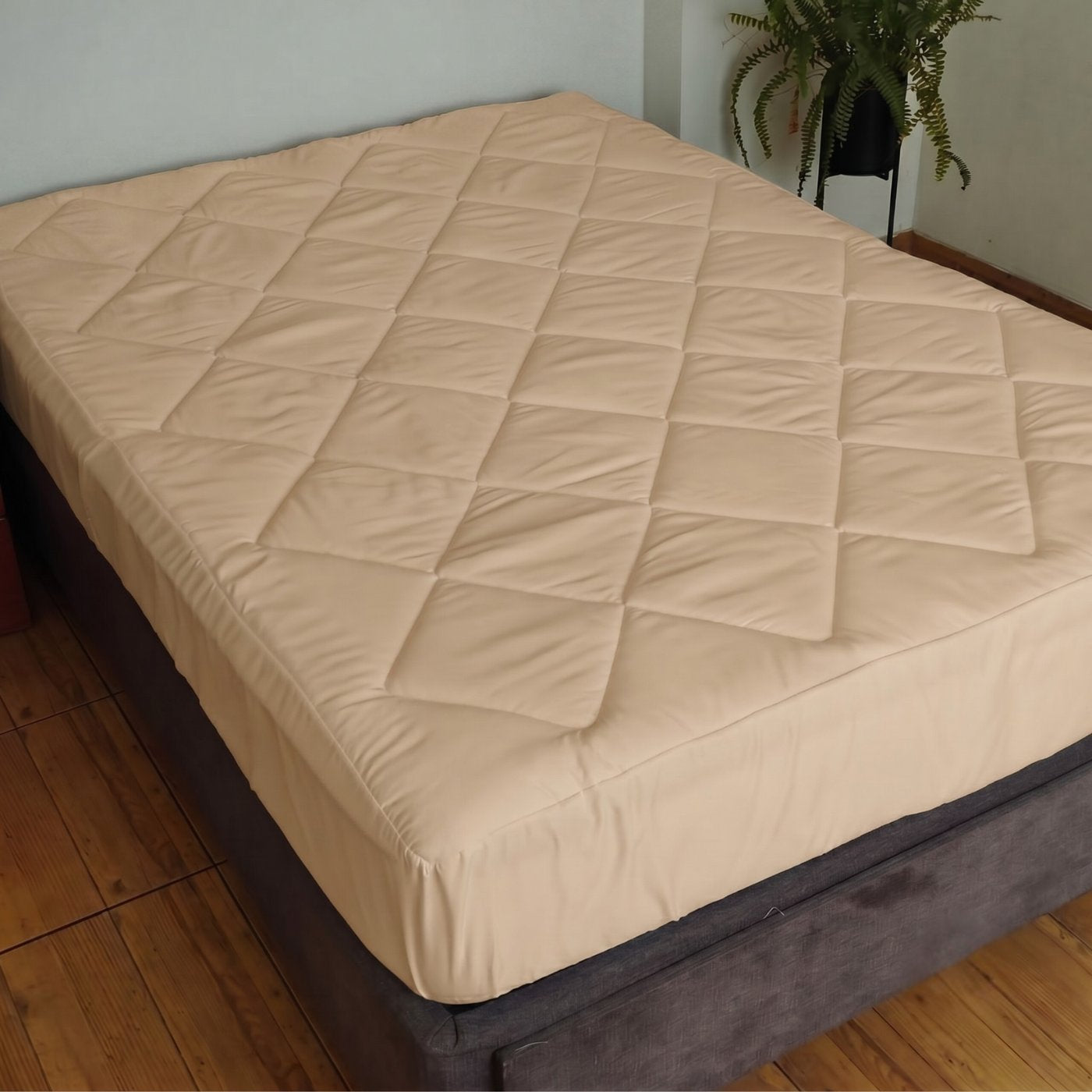 BEIGE_PA1