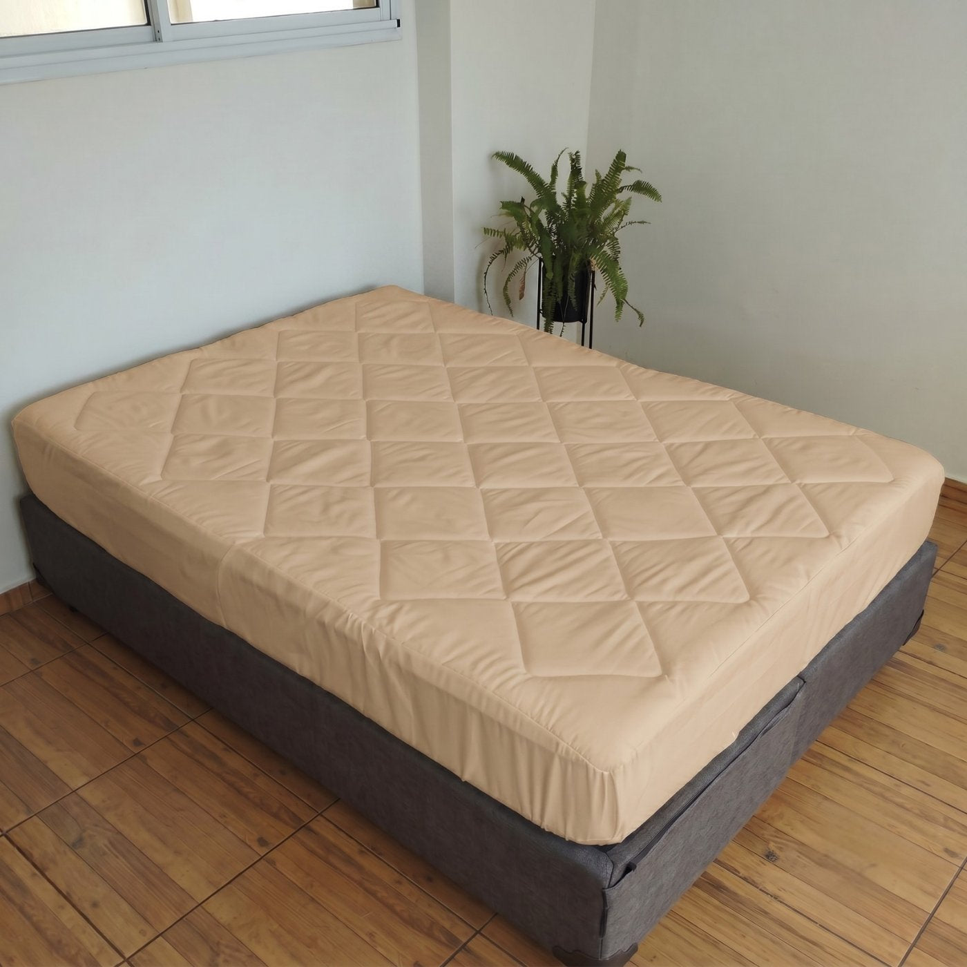 BEIGE_P2