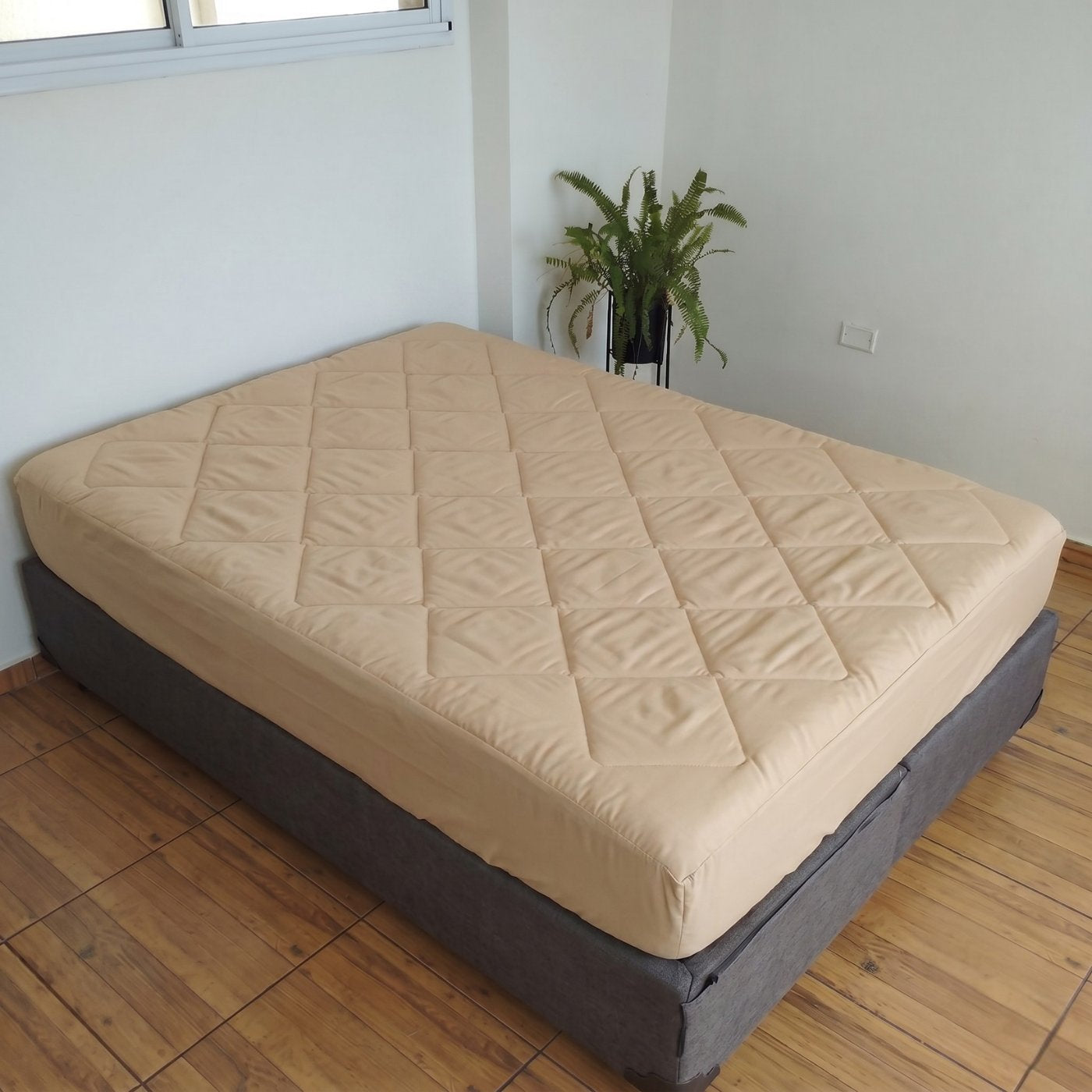 BEIGE_PA2