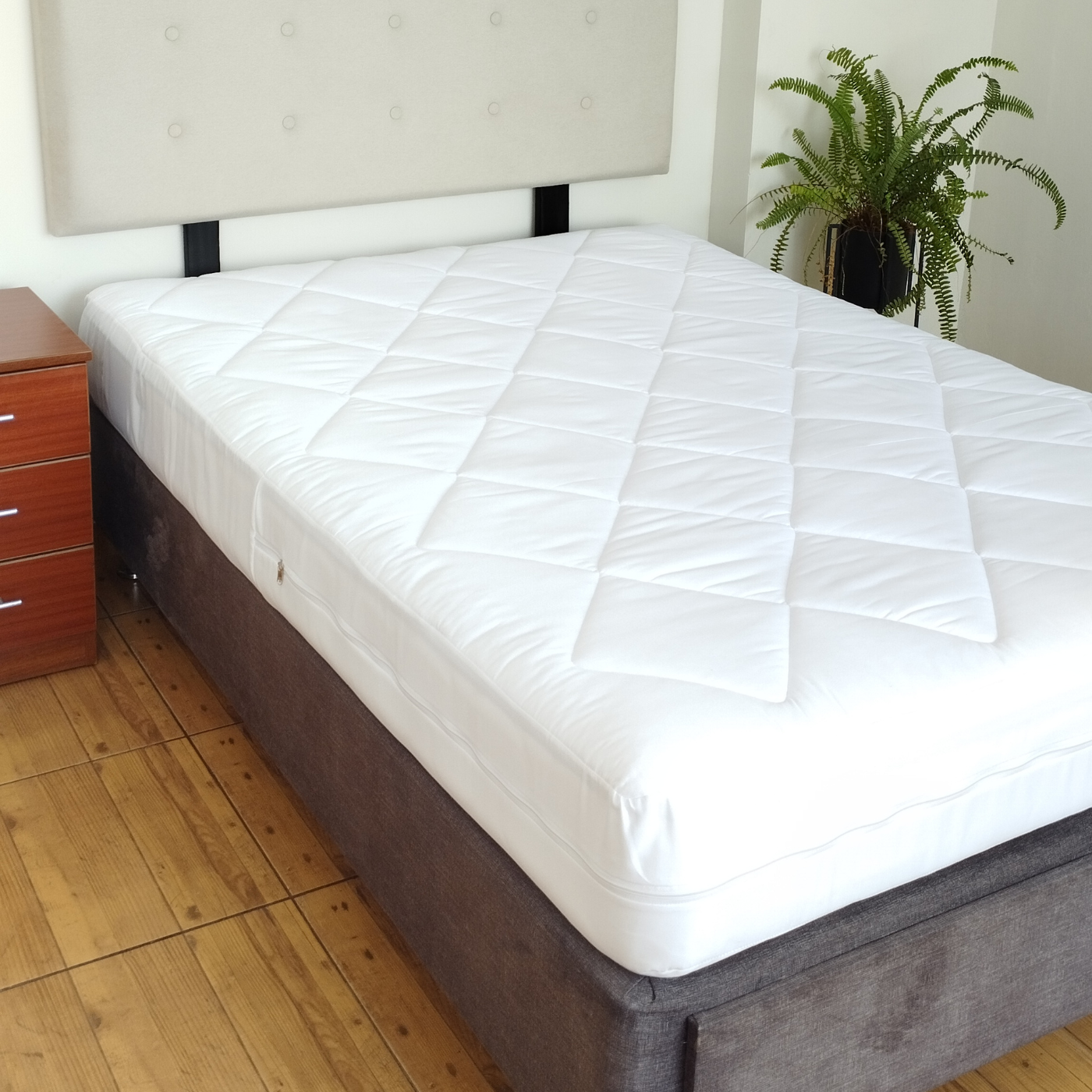 Blanco Forro bramante