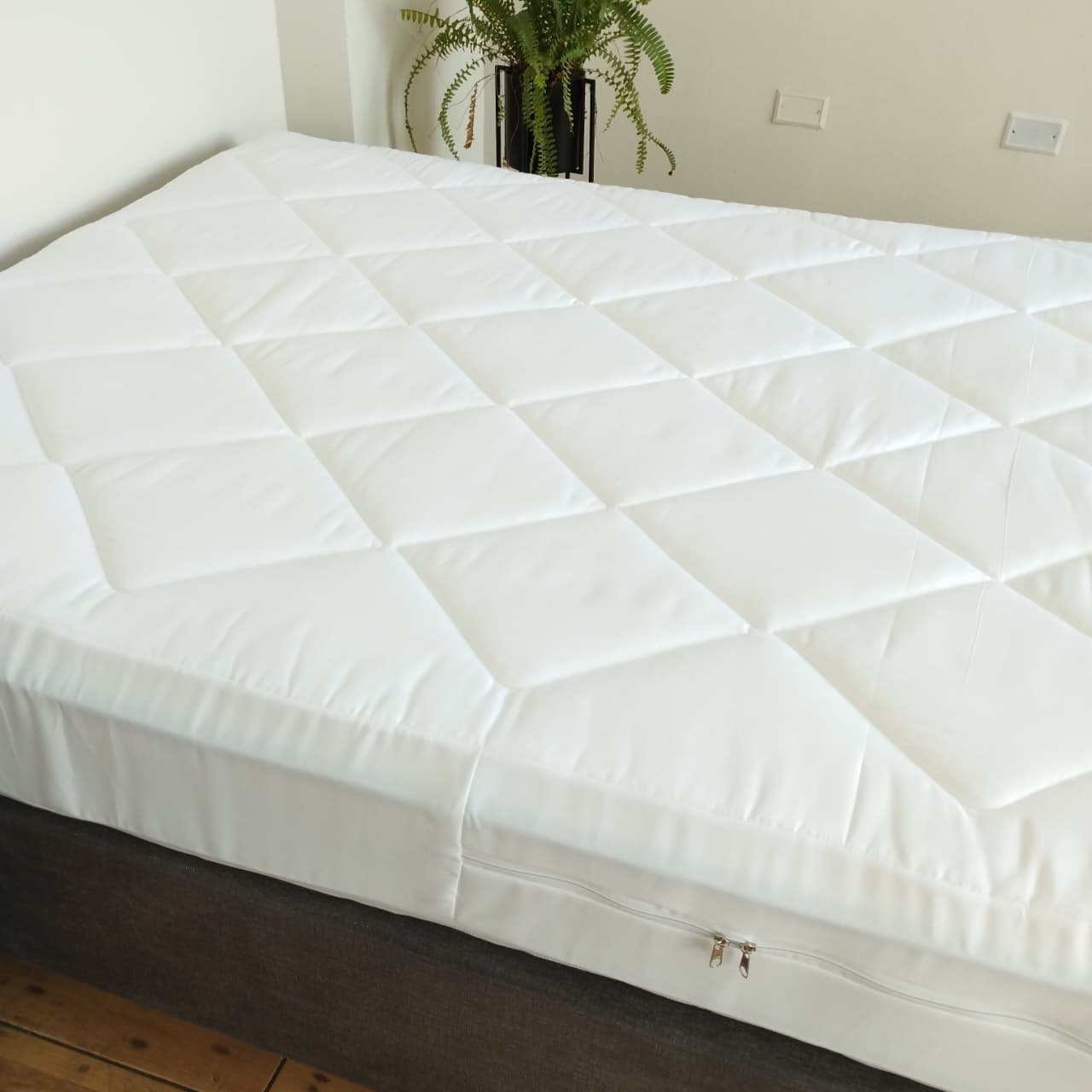 Blanco Forro bramante