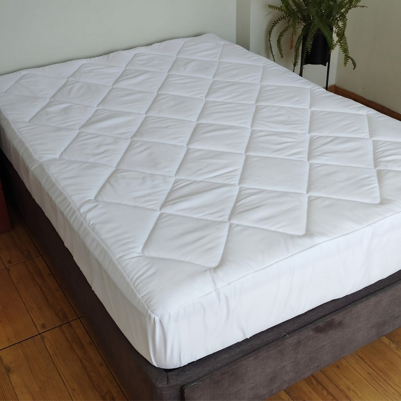 BLANCO_PA1