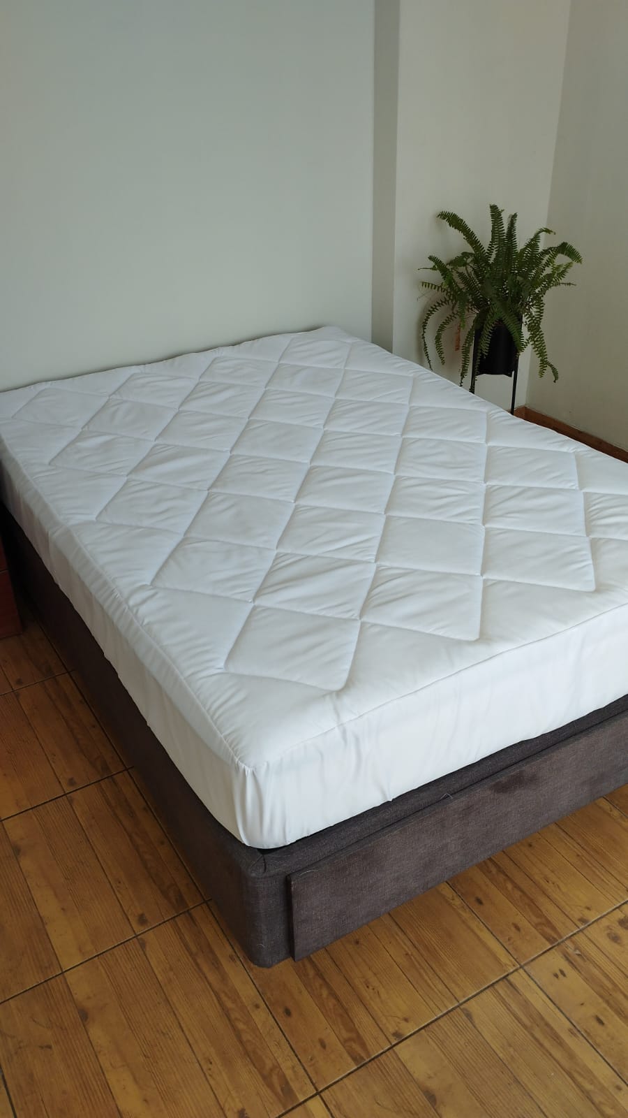 Blanco Protector