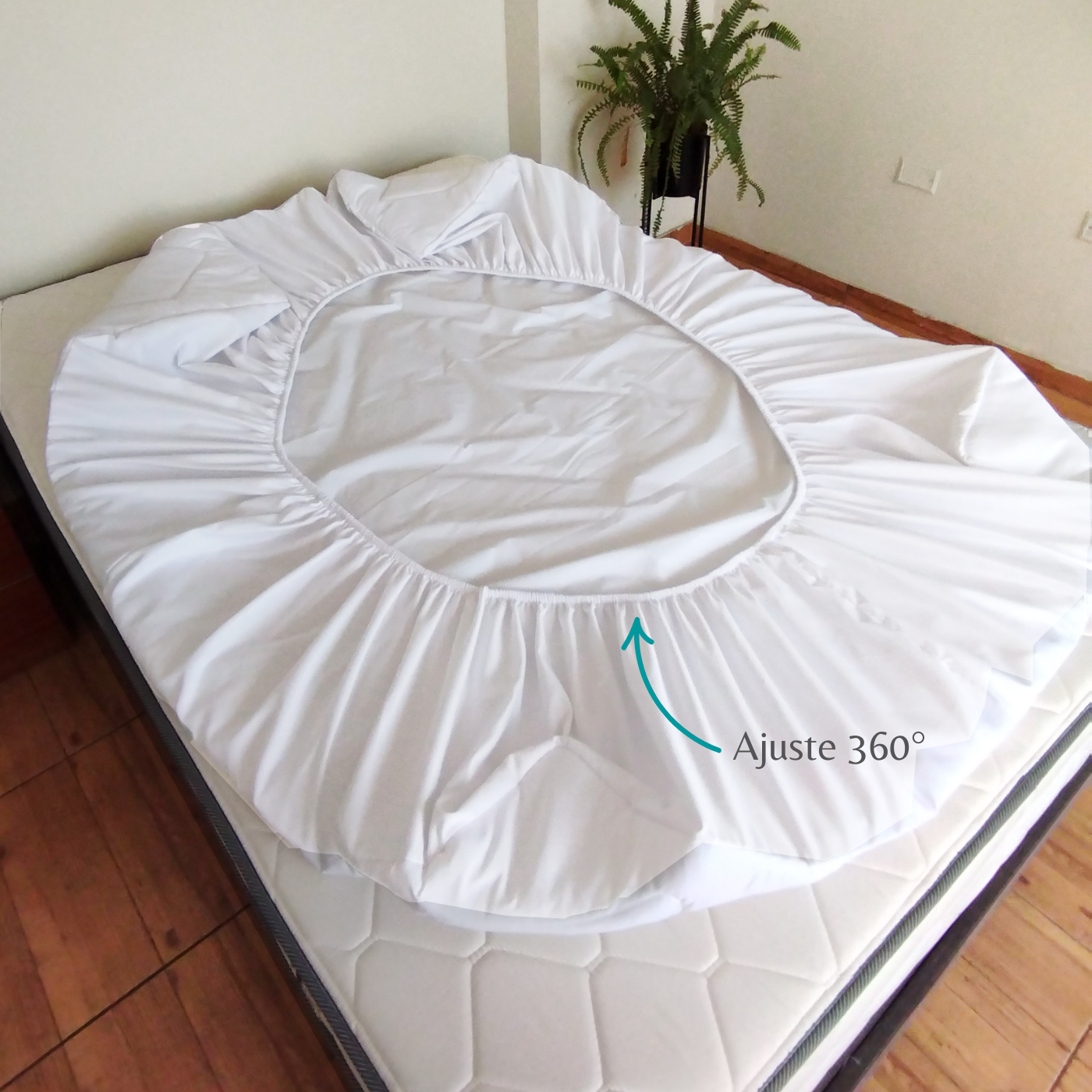 Blanco Protector