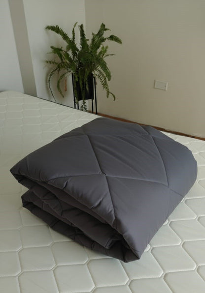 Gris Oscuro Protector